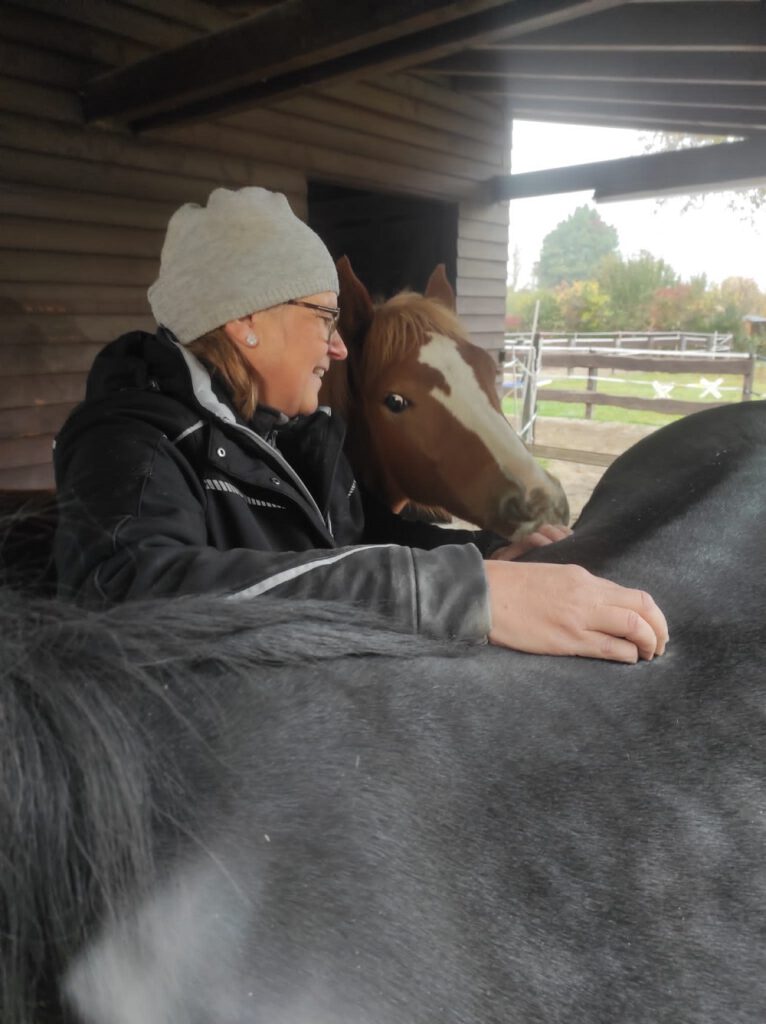 Claudia Gerber behandelt Stute mit Fohlen physiotherapeutisch
